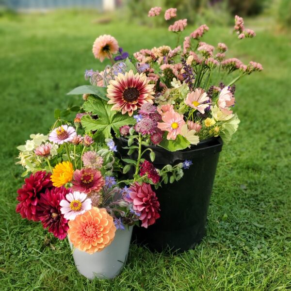 Flower Arrangers Bucket